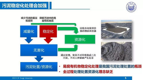 面向污水廠提質增效的污泥處理處置技術方向及農業面源與重金屬污染防治技術服務