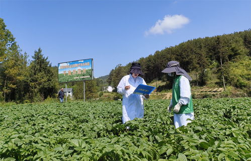 萬源硒科助農結碩果，富硒產業發展與環保雙贏
