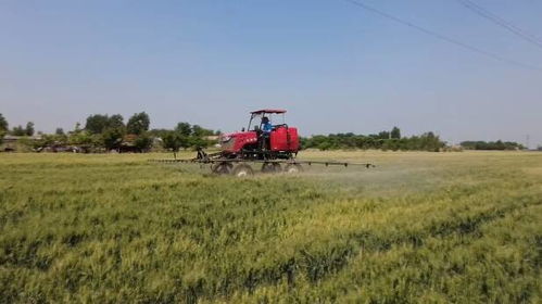 濰坊農機農技雙保障，夏糧有望實現面積單產總產三增長