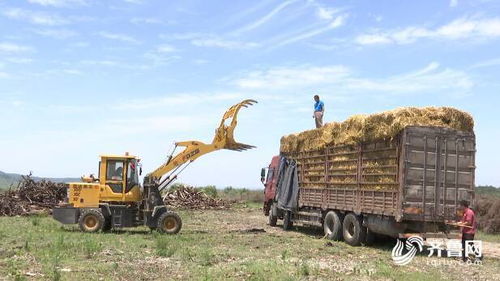 濰坊市深入推進(jìn)農(nóng)業(yè)面源和重金屬污染防治技術(shù)服務(wù)，助力農(nóng)業(yè)高質(zhì)量發(fā)展