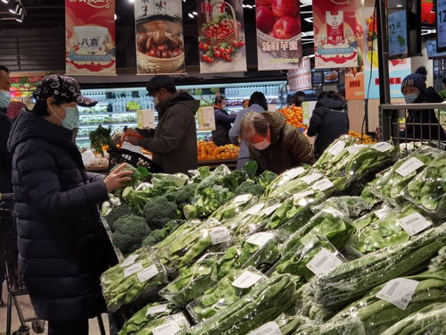 首農(nóng)食品節(jié)盛大啟幕，惠民與環(huán)保并行 500種商品讓利三成，農(nóng)業(yè)綠色技術(shù)護(hù)航