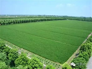 兩條農(nóng)業(yè)道路的抉擇 蔣高明生態(tài)農(nóng)業(yè)理念與面源重金屬污染防治技術(shù)服務(wù)的利弊分析