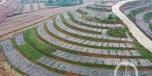 農(nóng)業(yè)面源污染防治見實(shí)效，2021年重慶化肥農(nóng)藥使用量均同比減少