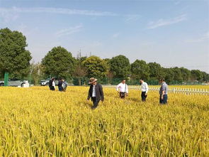 農(nóng)業(yè)養(yǎng)分循環(huán)與面源污染控制學(xué)術(shù)研討會在南京召開，助力農(nóng)業(yè)面源與重金屬污染防治技術(shù)服務(wù)