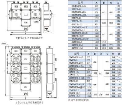 專業定制，安全可靠 BSK防爆配電箱廠家直銷服務詳解